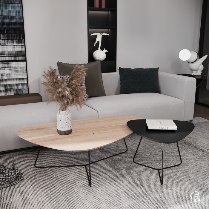 Klub set Evropa - Image 1